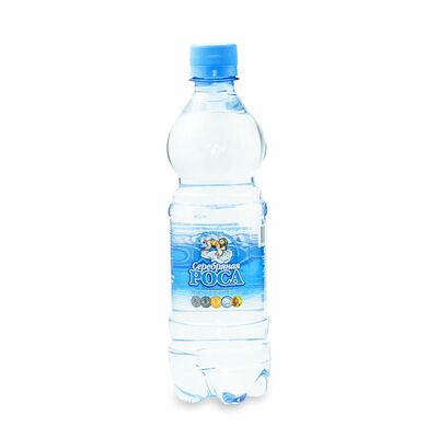 Вода 0.5л в ШАМАН по цене 95 ₽