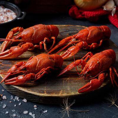 Раки острые М в Раки Мск 24 по цене 8290 ₽