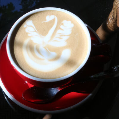 Латте в Бодрая выдра по цене 390 ₽