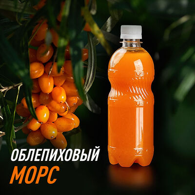 Морс облепиховый в Царица Роллов по цене 163 ₽