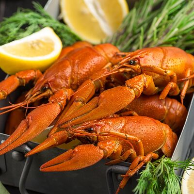 Рак крупный вареный в Раки Кусаки по цене 6500 ₽