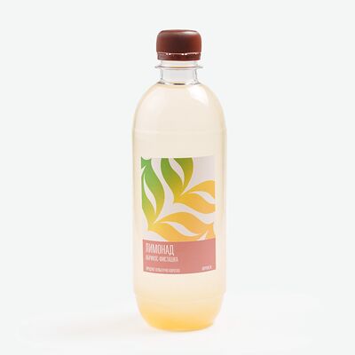 Лимонад Абрикос-фисташка в Человек и Чебурек по цене 250 ₽