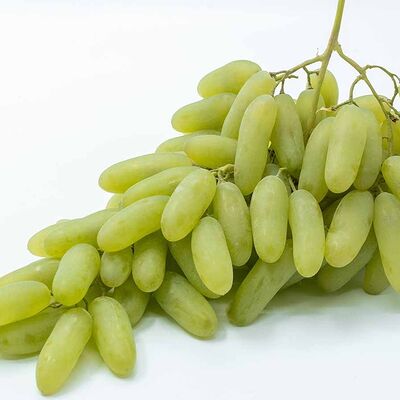 Виноград в Чайхана Плов центр по цене 320 ₽