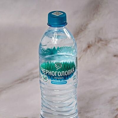 Черноголовка вода питьевая без газа (пэт) в Шашлычный двор по цене 189 ₽