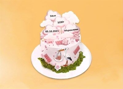 Торт подарочный На выписку Аист в Плюшки подружки по цене 4675 ₽