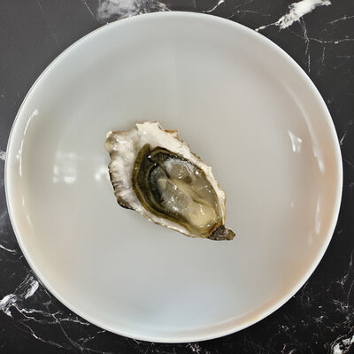 Устрица Касабланка в Вкусноморье по цене 658 ₽