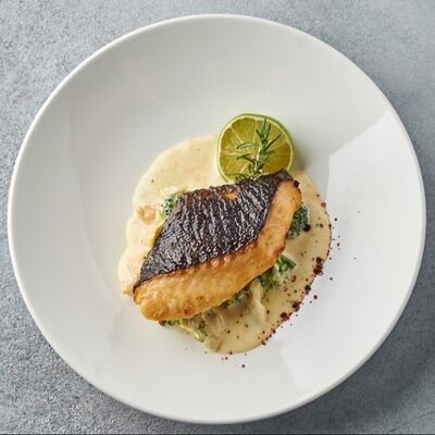 Палтусв Терраса по цене 1790 ₽