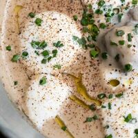 Крем-суп из белых грибовв Gino Cafe