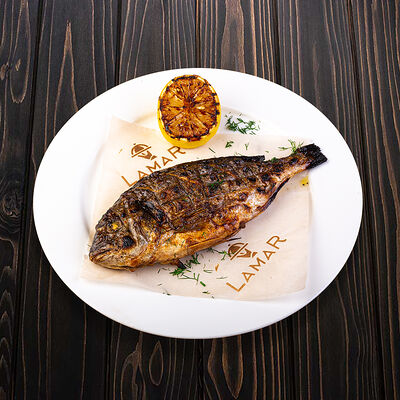 Дорада в Lamar по цене 1800 ₽