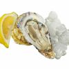 Устрица открытая Белый Жемчуг в Delivery-Oyster по цене 510