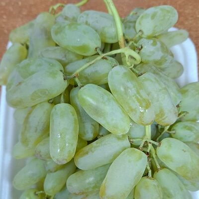 Виноград Дамские пальчики в Шашлычок по цене 240 ₽