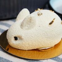 Муссовый заяц в Gnezdo Breakfast