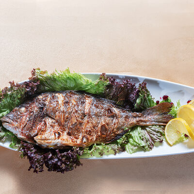 Судак на углях в Шарль Азнавур по цене 430 ₽