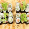 Холодный набор №2 в Sushi Лавка по цене 799