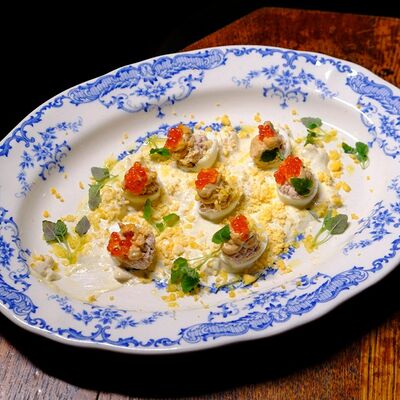 Мимоза в Дюбонне по цене 540 ₽