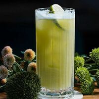 Натуральный лимонад 