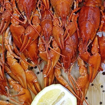 Раки S Кавказский острыев Раковарня FiSH&CRAB - 1 по цене 4250 ₽