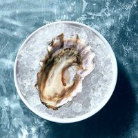 Устрица Экзотическая в GASTROFISH