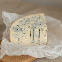 Горгонзола в Прошуттерия