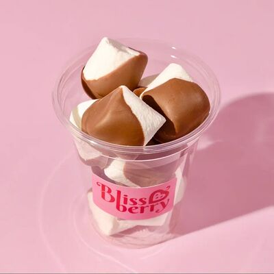 Маршмеллоу в шоколаде в Blissberry по цене 581 ₽