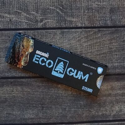 Eco Gum Steam в БУУЗНАЯ БАГУЛЬНИК по цене 110 ₽