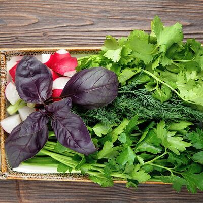 Зелень в Парк-отель Усадьба по цене 358 ₽