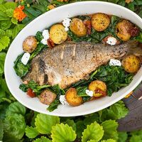 Дорадо с молодым картофелем и шпинатом в Villa Pasta