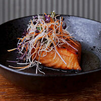 Лосось робата, Koji в KOJI