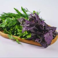 Микс зелени в Фабрика