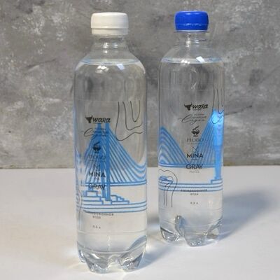 Вода брендированнаяв Китайские слухи по цене 300 ₽