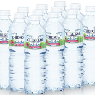 Вода минеральная Сенежская негазированная в Сити-Сэндвич по цене 80 ₽