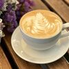 Латте в Vegan & Classic coffee по цене 199