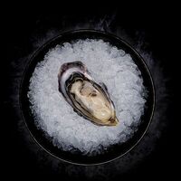 Устрица Розовая Джоли в 13 Oysters