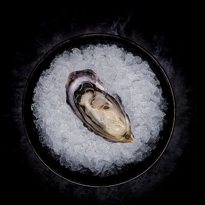 Устрица Розовая Джоли в 13 Oysters по цене 350 ₽