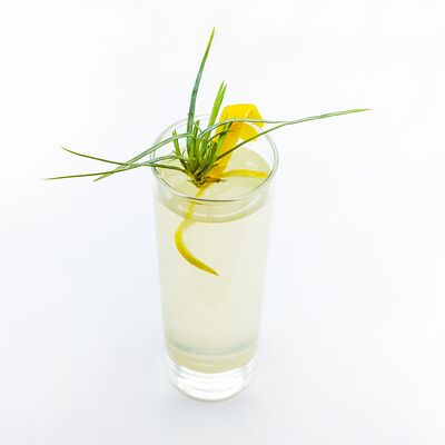 Лимонад лимонно-имбирный собственного приготовления в Собрание по цене 565 ₽