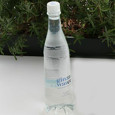 Ginza Water без газа в Сули Гули по цене 190 ₽