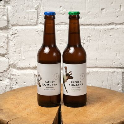 Комбуча классическая в Охотка по цене 250 ₽