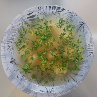 Чучвара свинина в Way Бургер по цене 360 ₽