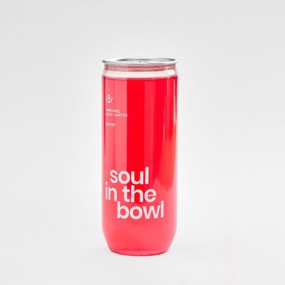 Лимонад Алоэ Кактус в Soul in the Bowl по цене 310 ₽