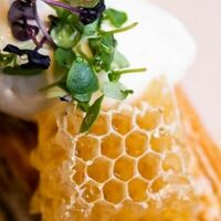 Медовик со сливочным кремом в Gino Cafe