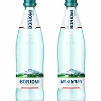 Borjomiв Пацха Пшапский двор