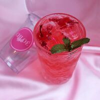 Арбуз & Мята в Chloe