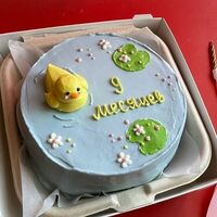 Бенто-торт Уточка (любая надпись) в The.cakes_spb