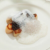 Гребешок с цветной капустой и соусом из хереса в Sage