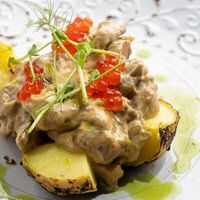 Черноморские рапаны в Рабарбар