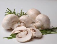 Шампиньоны в Чентуриппе