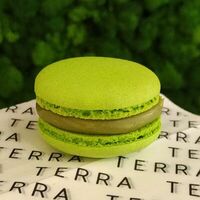 Макарон Фисташка-малина в Terra Desserts