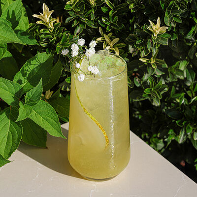 Лимонад Дюшесв Юность у моря по цене 470 ₽