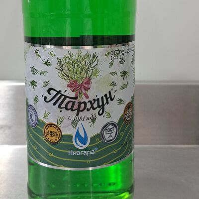 Лимонад Ниагара Тархун в Шашлык в бору по цене 100 ₽