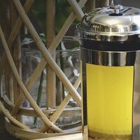 Облепиховый в TISHINCOFF